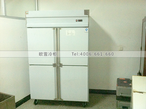 H039福建廈門(mén)水產(chǎn)研究所冷柜冰柜