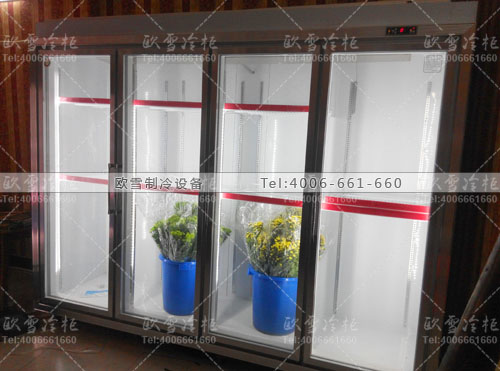 J018湖南長沙玫瑰園鮮花批發(fā)保鮮柜