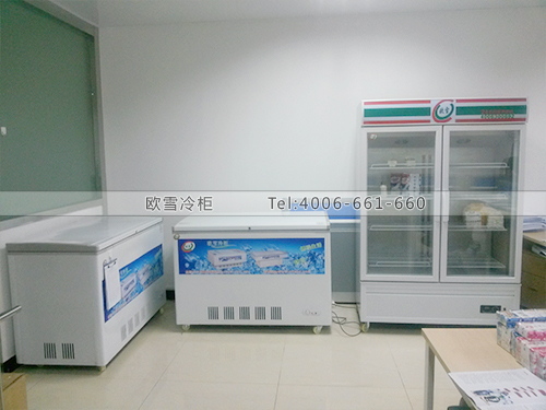 H042廣州食品驗所冷柜冰柜