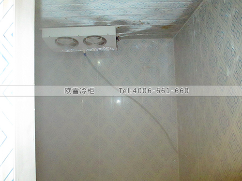 I041東莞東城窩窩頭小型冷庫