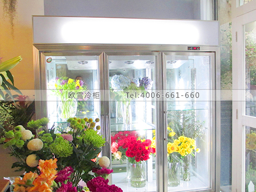 J013東莞東城花島鮮花保鮮柜