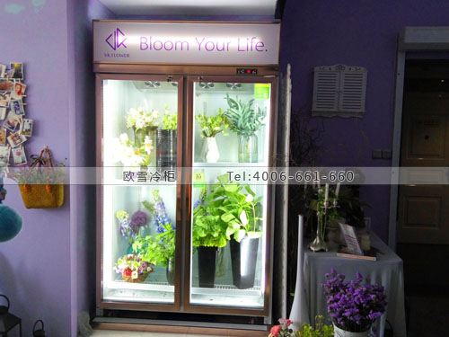 J057江蘇省南京市建鄴區(qū)VKFLOWER花藝設(shè)計