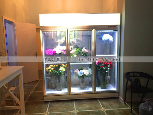 J066湖北省武漢市武昌區(qū)羅威花園保鮮展示柜