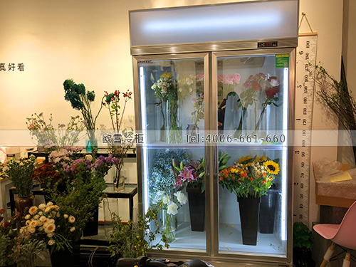 J101江蘇省揚(yáng)州市廣陵區(qū)fado flower花渡鮮花柜