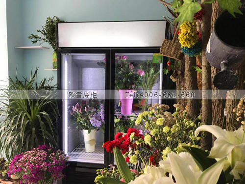 J064湖北省宜昌市名門花坊保鮮展示柜