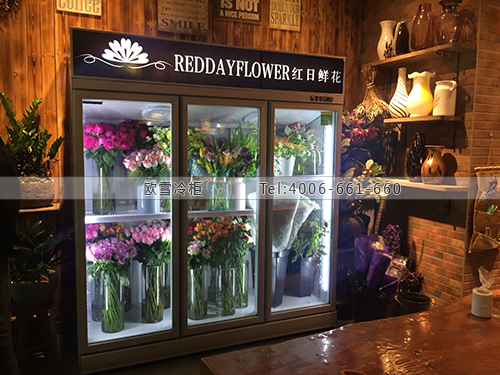 J106廣東省深圳市南山區(qū)紅日艾米麗鮮花保鮮柜