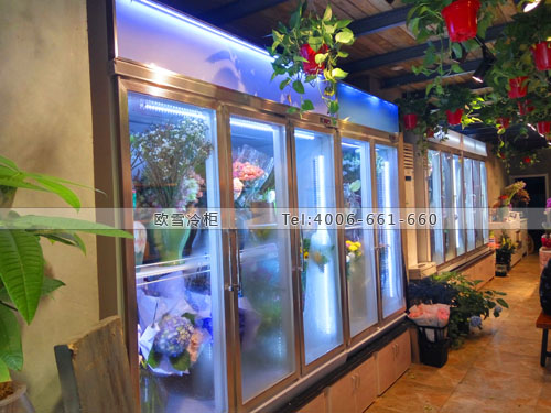 J026江蘇省南京市秦淮區(qū)香度花店保鮮柜