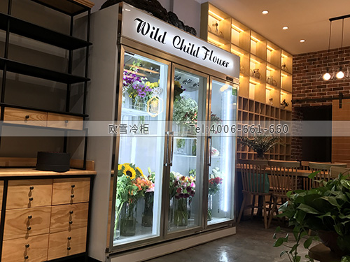 J084湖北省宜昌市西陵區(qū)野孩子花藝保鮮展示柜