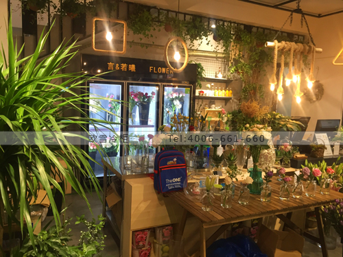 J063浙江省杭州市西湖區(qū)言&若曦花藝保鮮柜