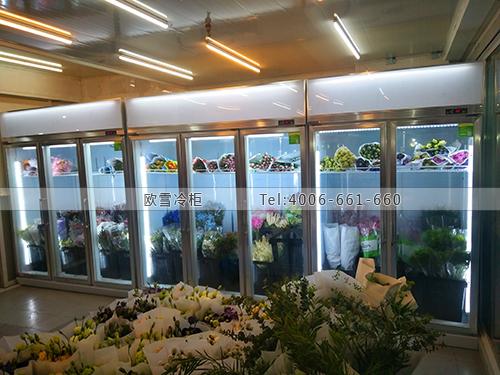 J097上海市普陀區(qū)上海宋宇花店保鮮柜