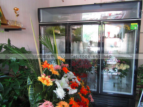 J058江蘇省南京市棲霞區(qū)鮮花婚慶保鮮展示柜