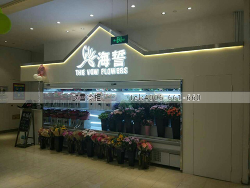 J094河北省秦皇島市海港區(qū)海誓精品花藝展示柜