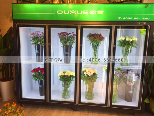 J069江蘇省無錫市有所花店保鮮展示柜