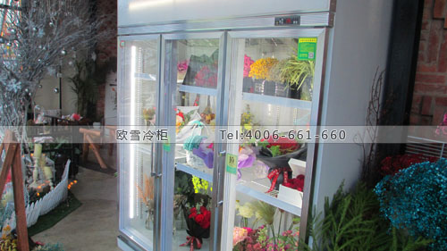 J051廣西省南寧市CARLOS花店保鮮柜鮮花