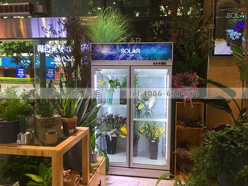 J110重慶市大足區(qū)SOLAR花藝保鮮冷柜
