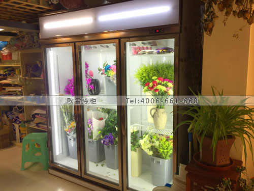 J036上海市松江區(qū)Dawn's夢(mèng)工藝花坊保鮮展示柜