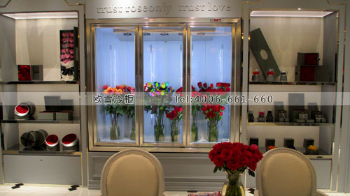 J022廣西省南寧市青秀區(qū)roseonly鮮花保鮮柜