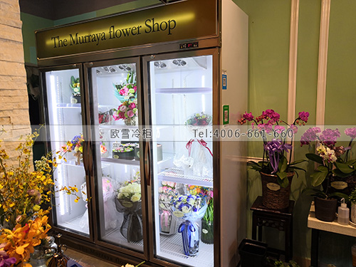 J092江蘇省南京市建鄴區(qū)九里香花藝館保鮮柜