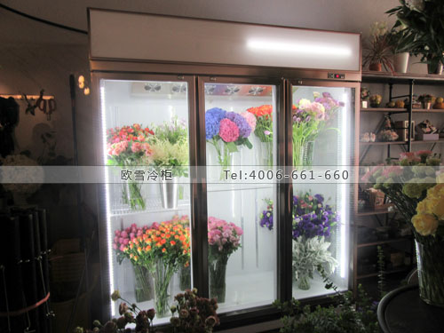 J037江蘇省南京市雨花臺(tái)區(qū)繭花藝鮮花保鮮柜