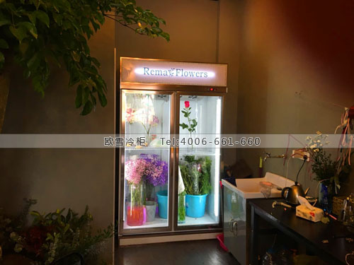 J031上海市浦東區(qū)Remay鮮花保鮮柜