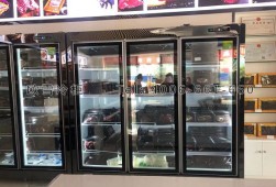 冷凍柜-冷凍食品展示冰柜價(jià)格
