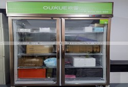 冷柜-上海松江區(qū)兩門冷藏展示柜選購